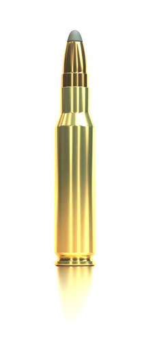 s&b 308