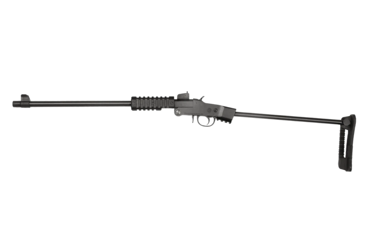 Chiappa Little Badger TDX