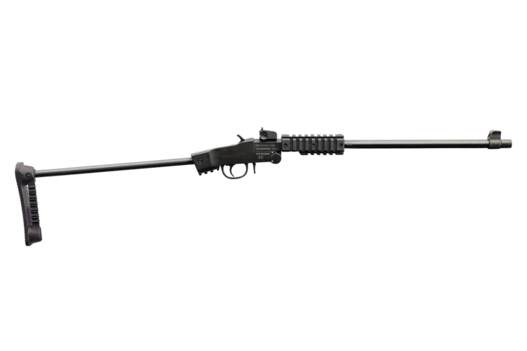 Chiappa Little Badger TDX