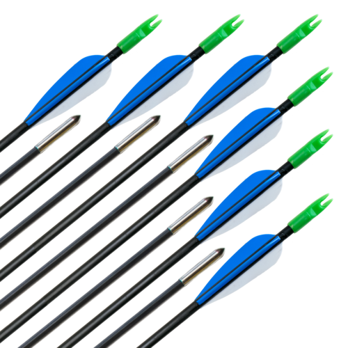 Carbon Pfeile Archery Club 5.5mm 12Stk.