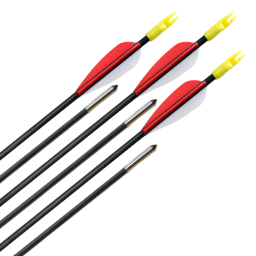 Carbon Pfeile Archery Club 5mm 6Stk.