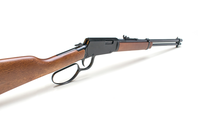 Rossi Rio Bravo Holz .22lfB