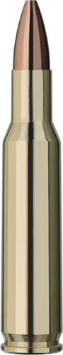 RWS 222 Rem. Match Jagd 3,4g 30 Stk.
