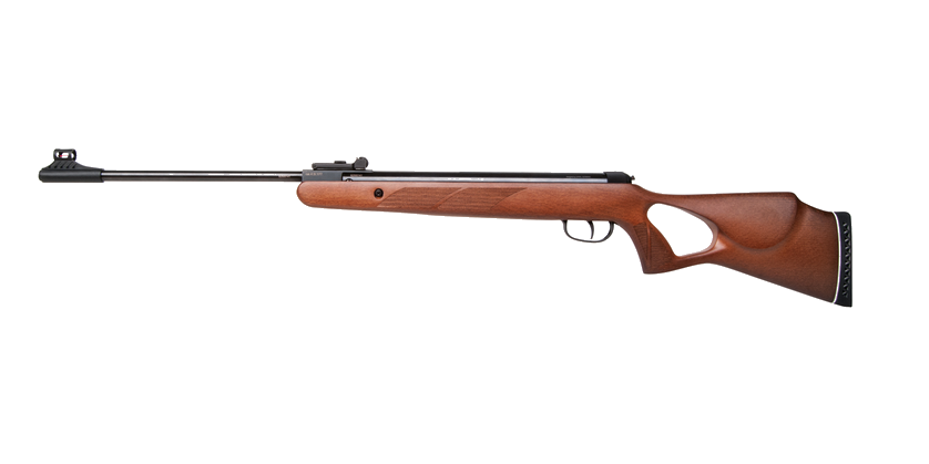 Diana two-fifty 22J Lochschaft Holz 4,5mm