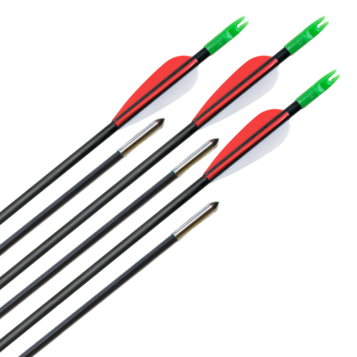 Carbon Pfeile Archery Club 6mm 6Stk.