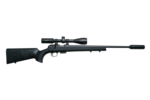cz