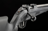 cz