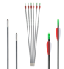 Carbon Pfeile Archery Club 6mm 6Stk.