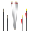 Carbon Pfeile Archery Club 5mm 6Stk.