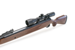 Diana Mod. 350 Magnum