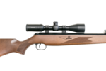 Diana Mod. 350 Magnum