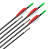 Carbon Pfeile Archery Club 6mm 6Stk.