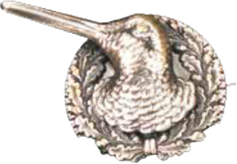   Trophäen
