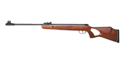 Diana two-fifty Lochschaft Holz 4,5mm 22J