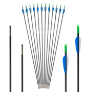 Archery Club Carbon 5,5mm 30"         1Stk.